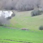 De Caractère En Pleine Nature *