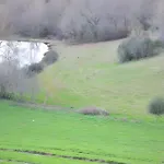 De Caractere En Pleine Nature Prázdninový dům Bourg-de-Visa